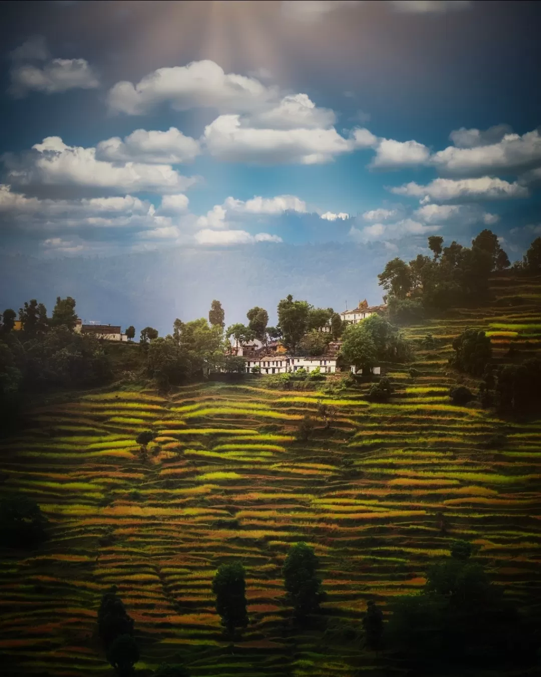 Photo of Narayanbagar By RAJNIKANT SINGH