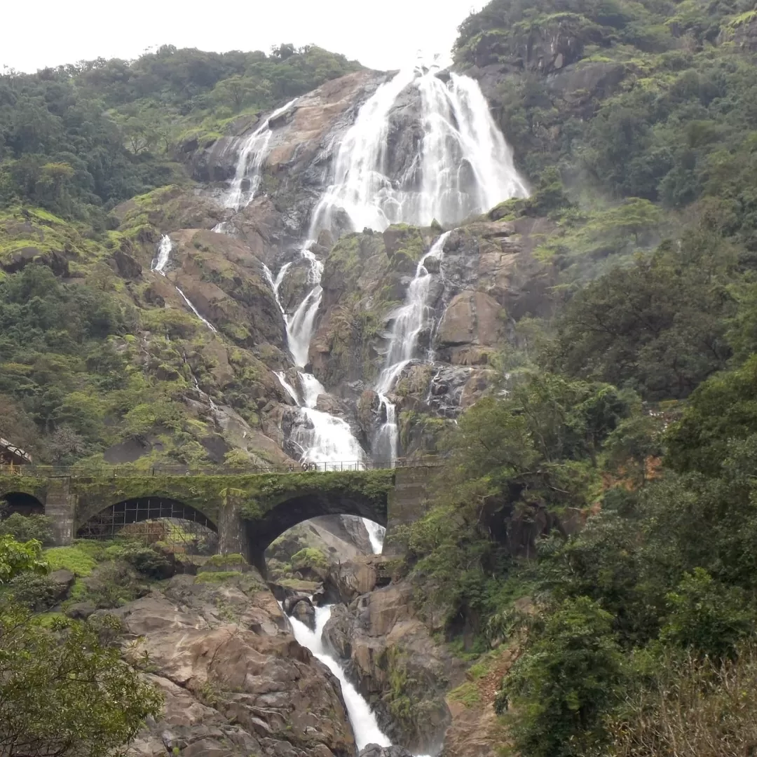 Photo of Dudhsagar Falls By A Purushotham