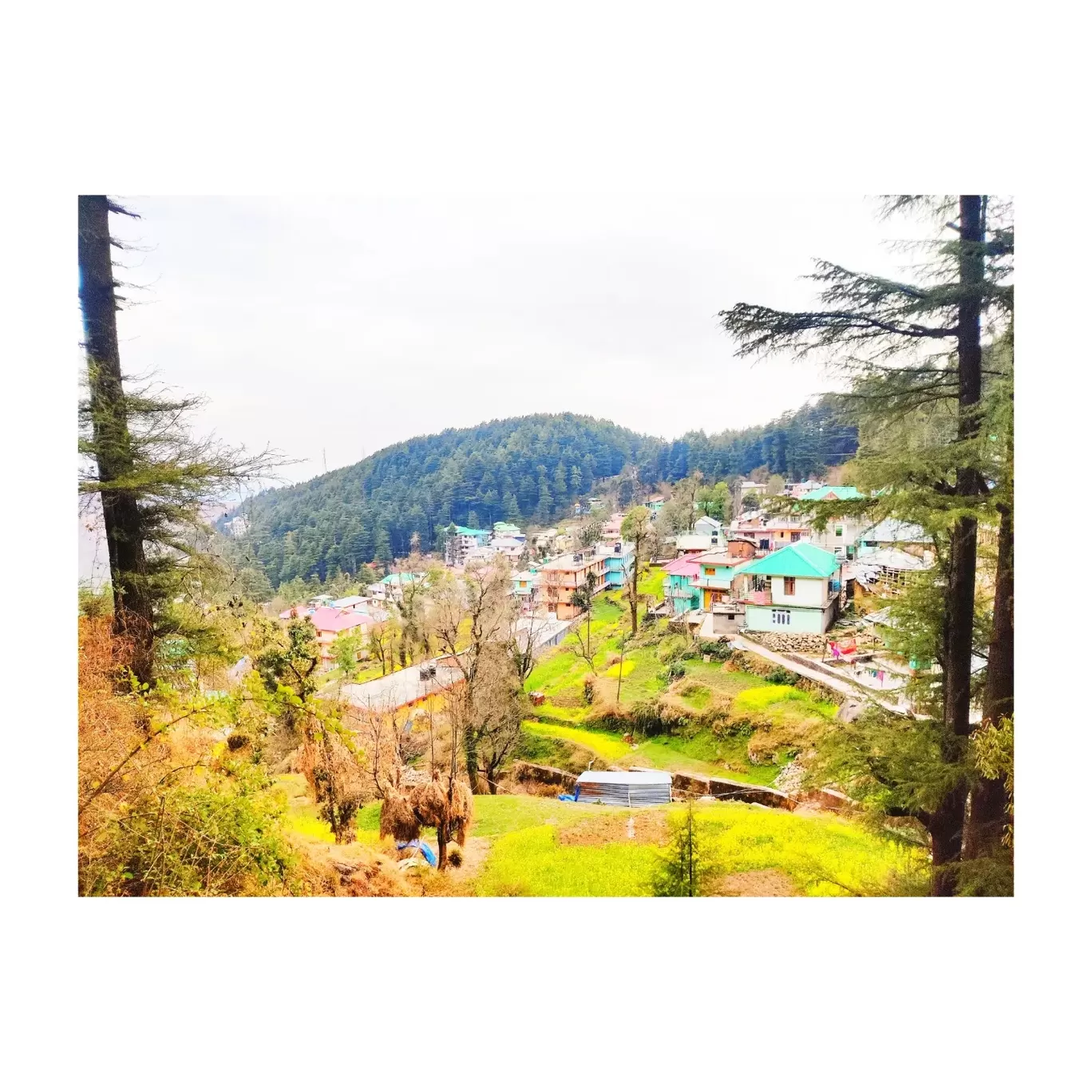 Photo of McLeod Ganj By Ayush Yadav