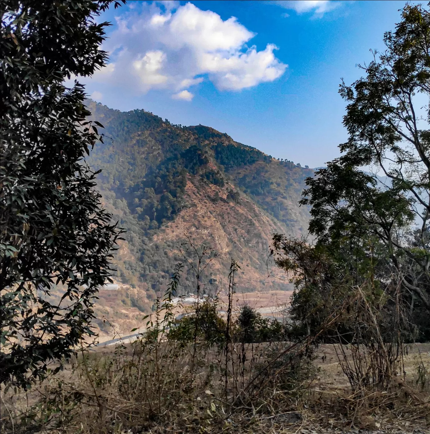 Photo of Solan By Daud Akhter