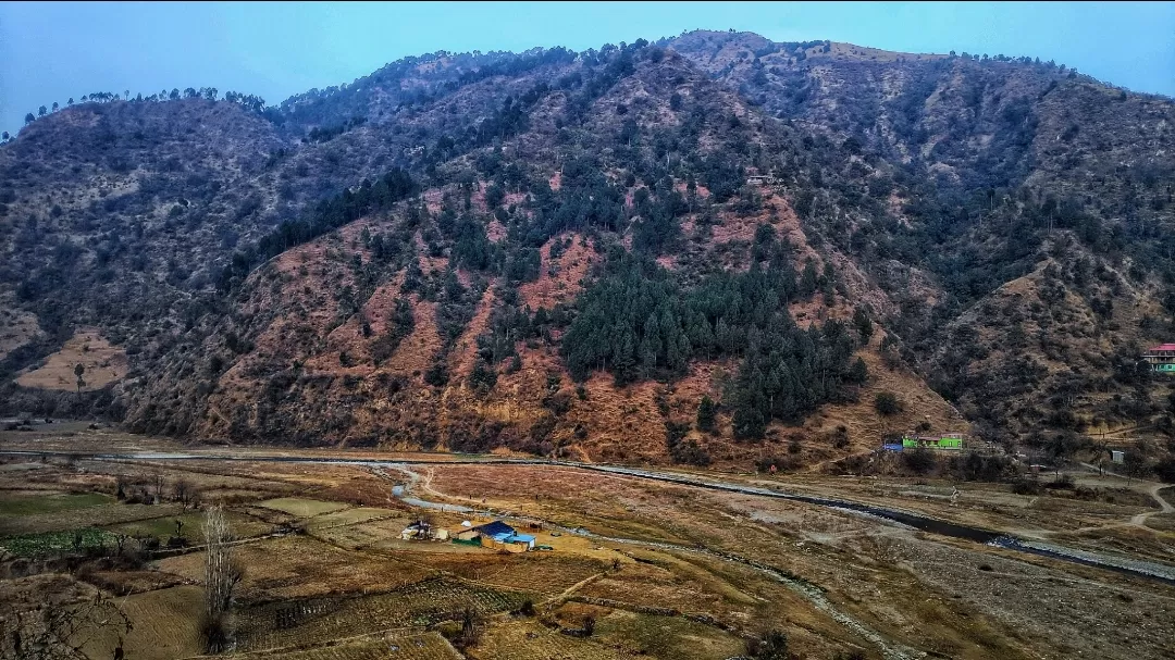 Photo of Solan By Daud Akhter