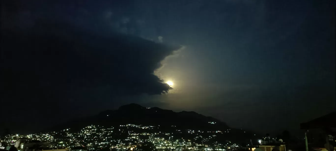 Photo of Solan By Daud Akhter