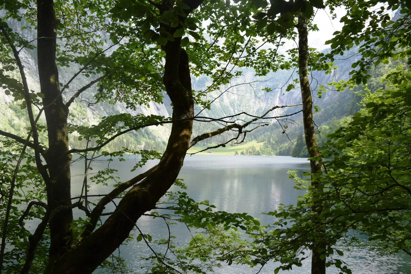 Photo of Obersee By Bohemian