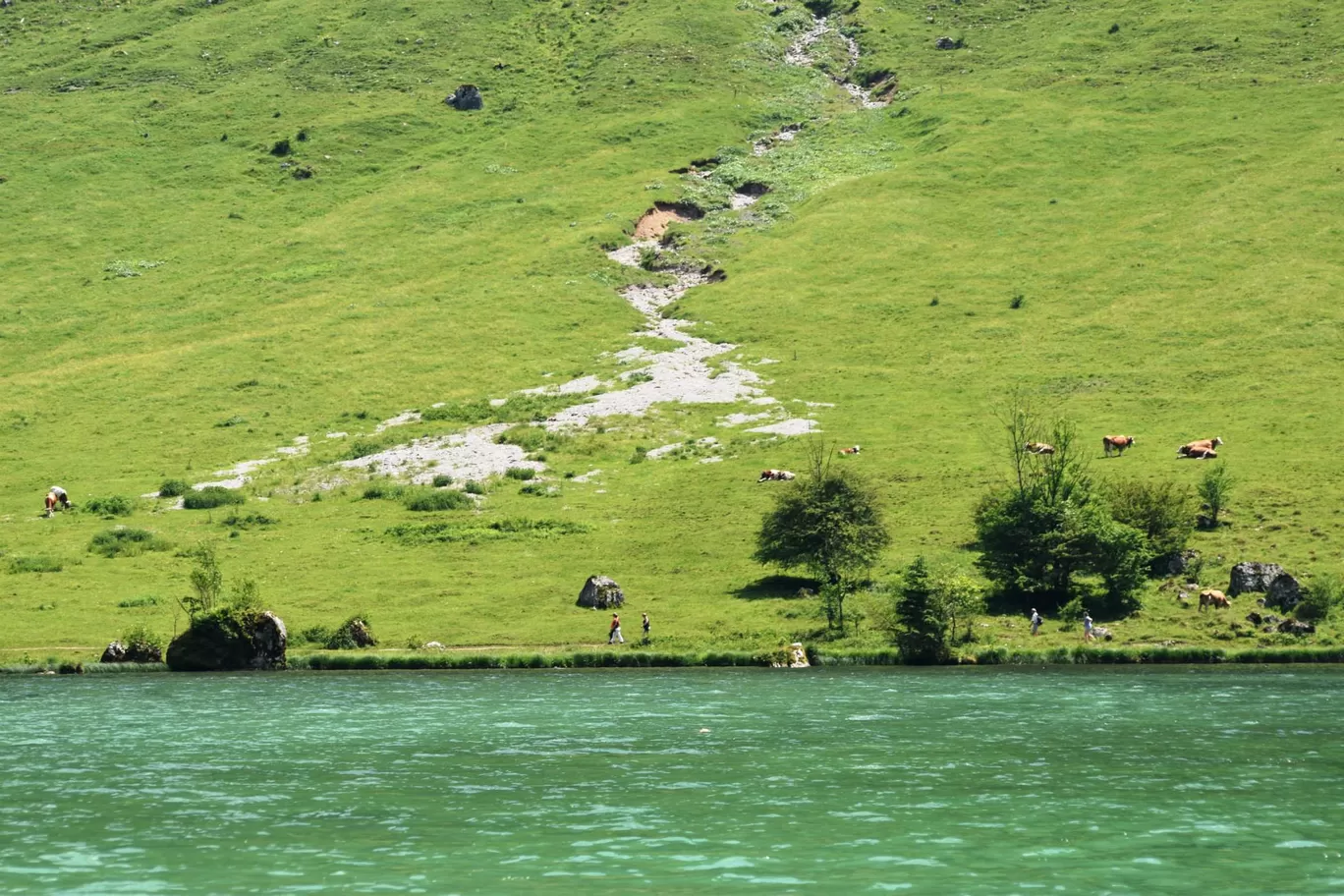 Photo of Obersee By Bohemian