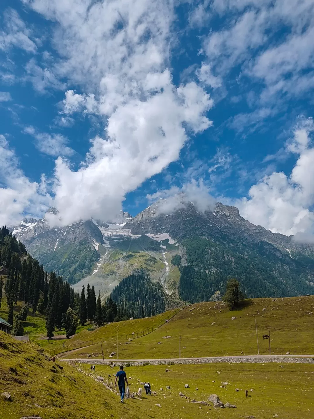 Photo of Sonamarg By Shareyar Ayoub 