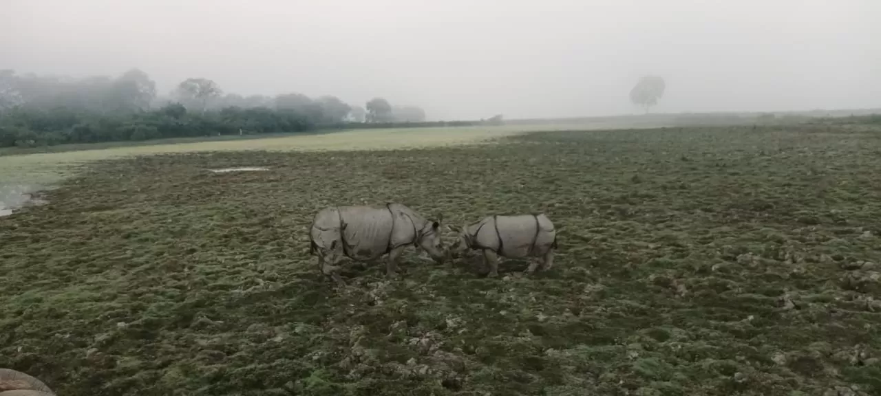 Photo of Kaziranga National Park By Discover Activities