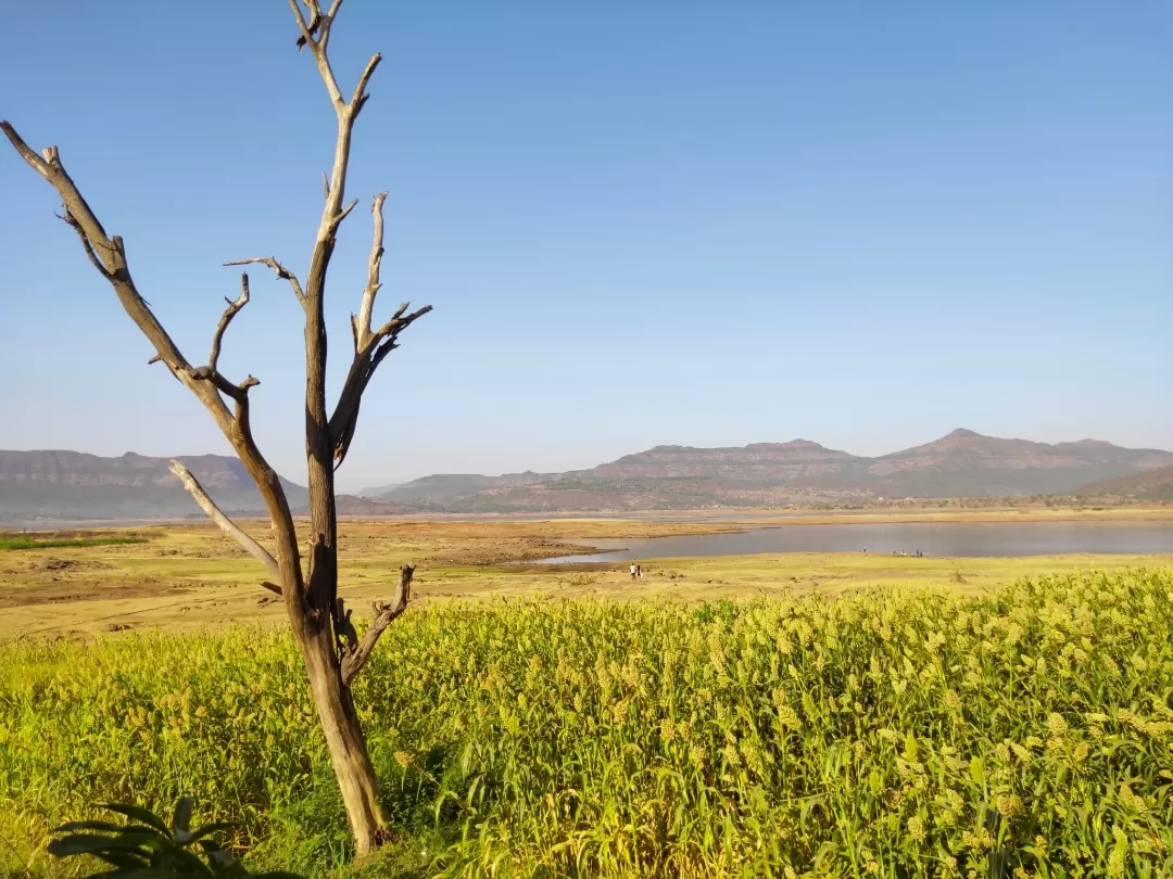 Photo of Pawna Lake By Aayushi bhawsar