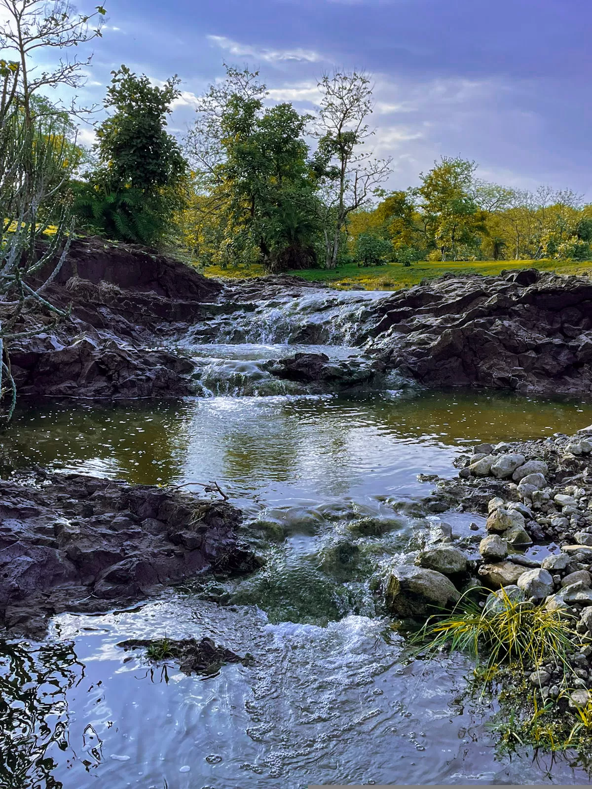 Photo of Mohadi Falls By Mayur Patil