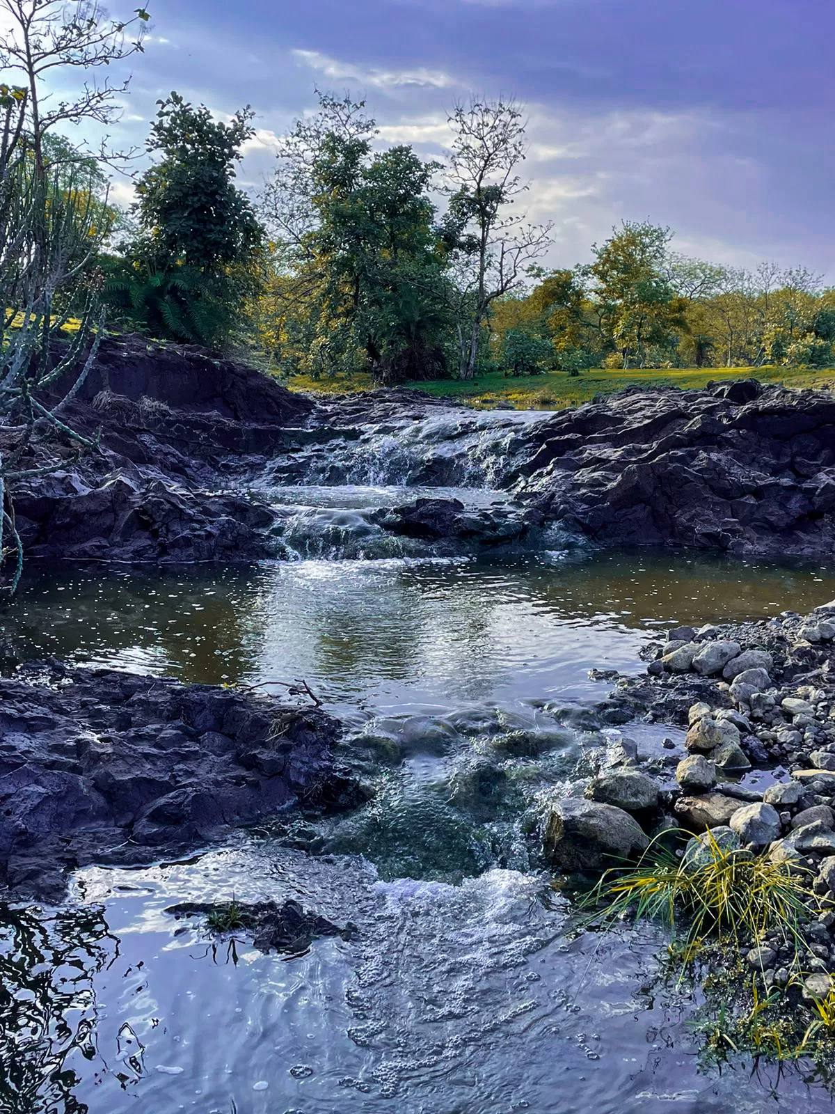 Photo of Mohadi Falls By Mayur Patil