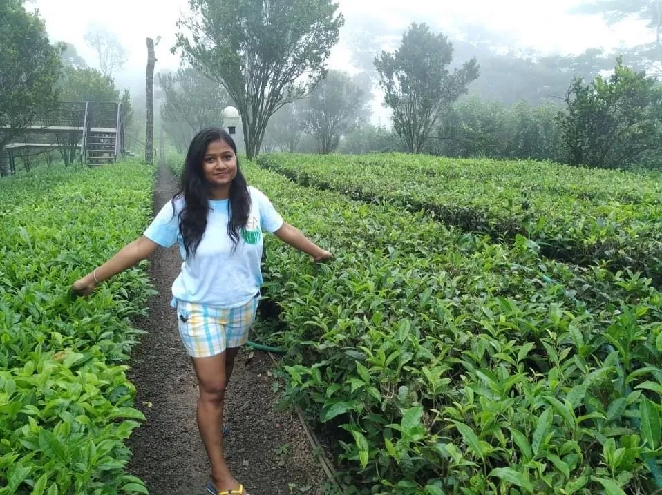 Photo of Dream Catcher Plantation Resort By Sneh Lata