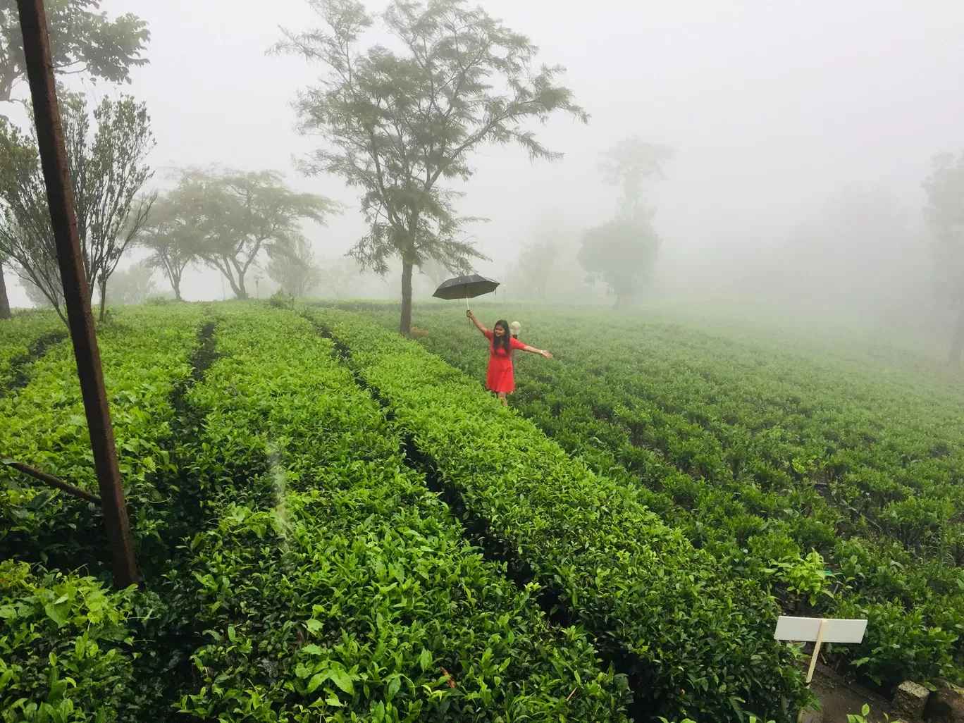 Photo of Dream Catcher Plantation Resort By Sneh Lata