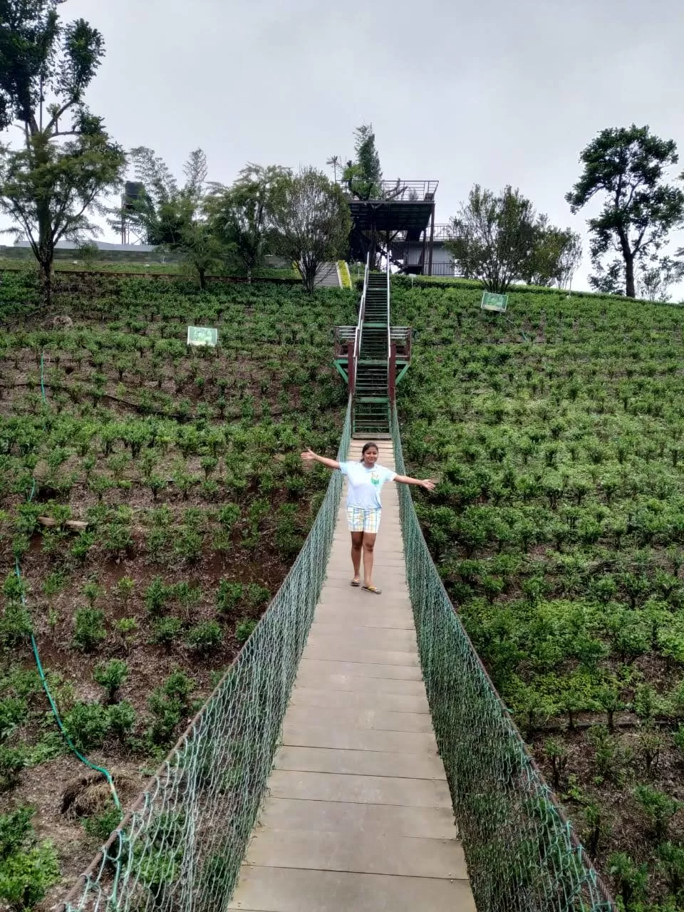 Photo of Dream Catcher Plantation Resort By Sneh Lata