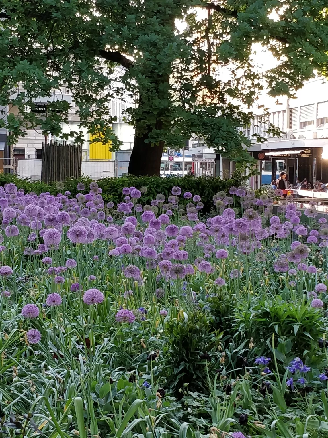 Photo of Switzerland By #KPraj