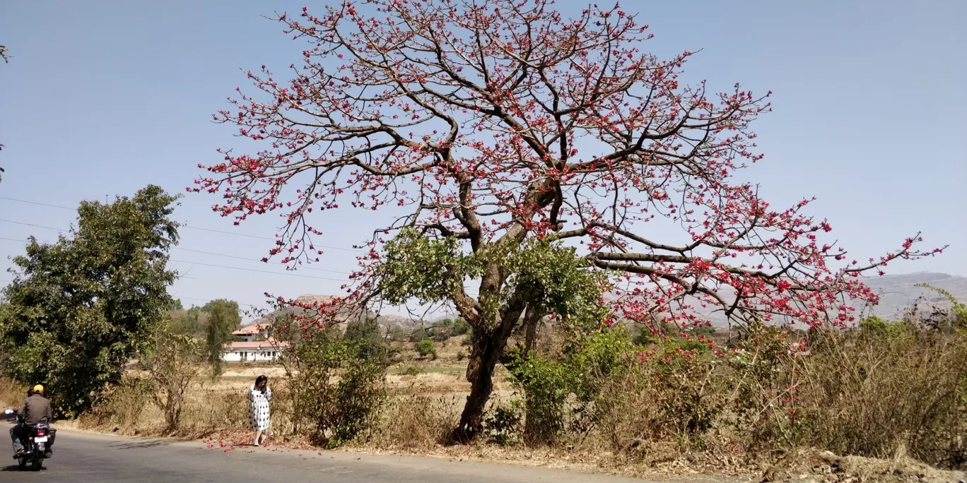 Photo of Bhandara By #KPraj