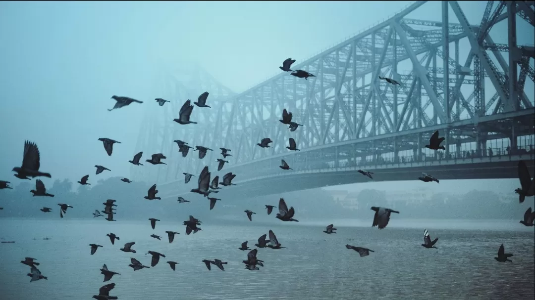 Photo of Howrah Bridge By Debasish Dey