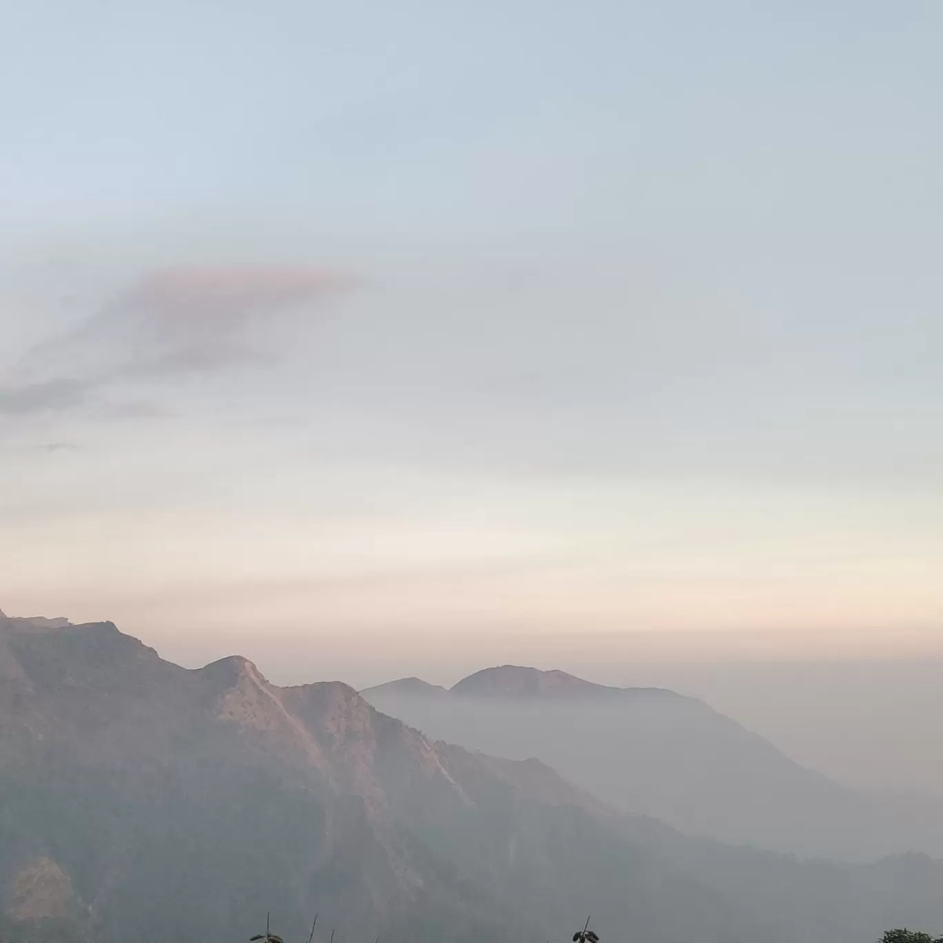 Photo of Makaibari Tea Estate By Averi Roy