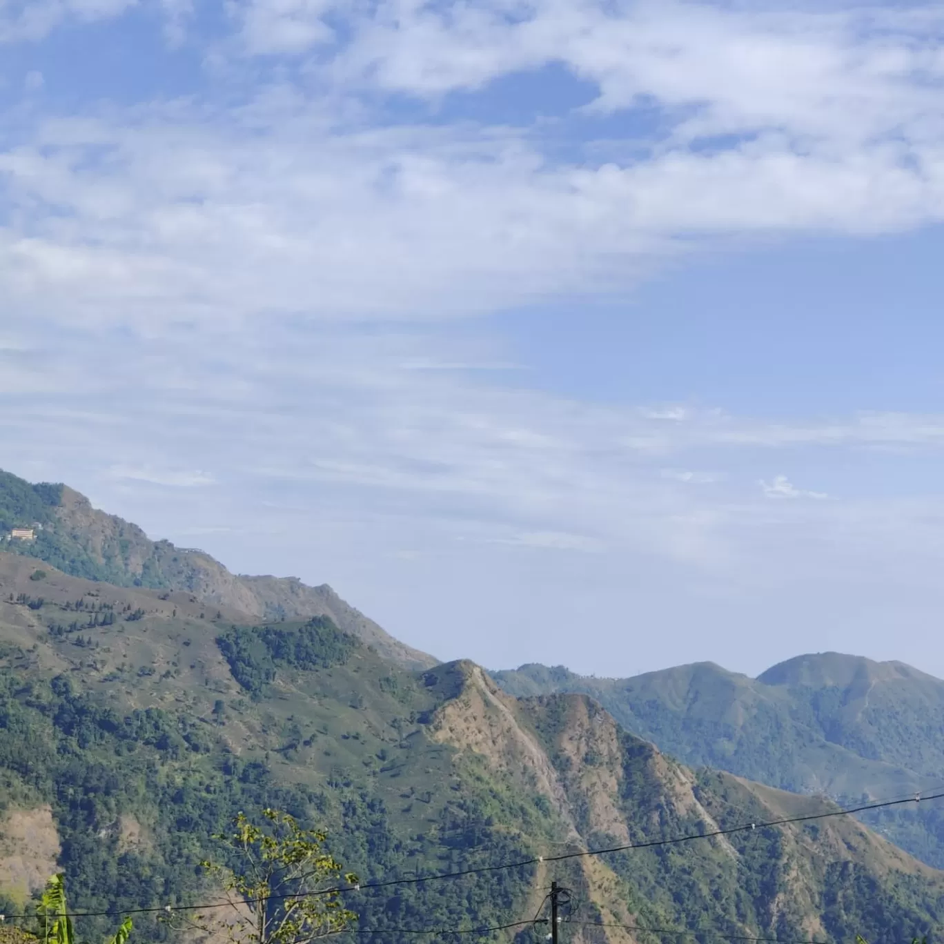 Photo of Makaibari Tea Estate By Averi Roy