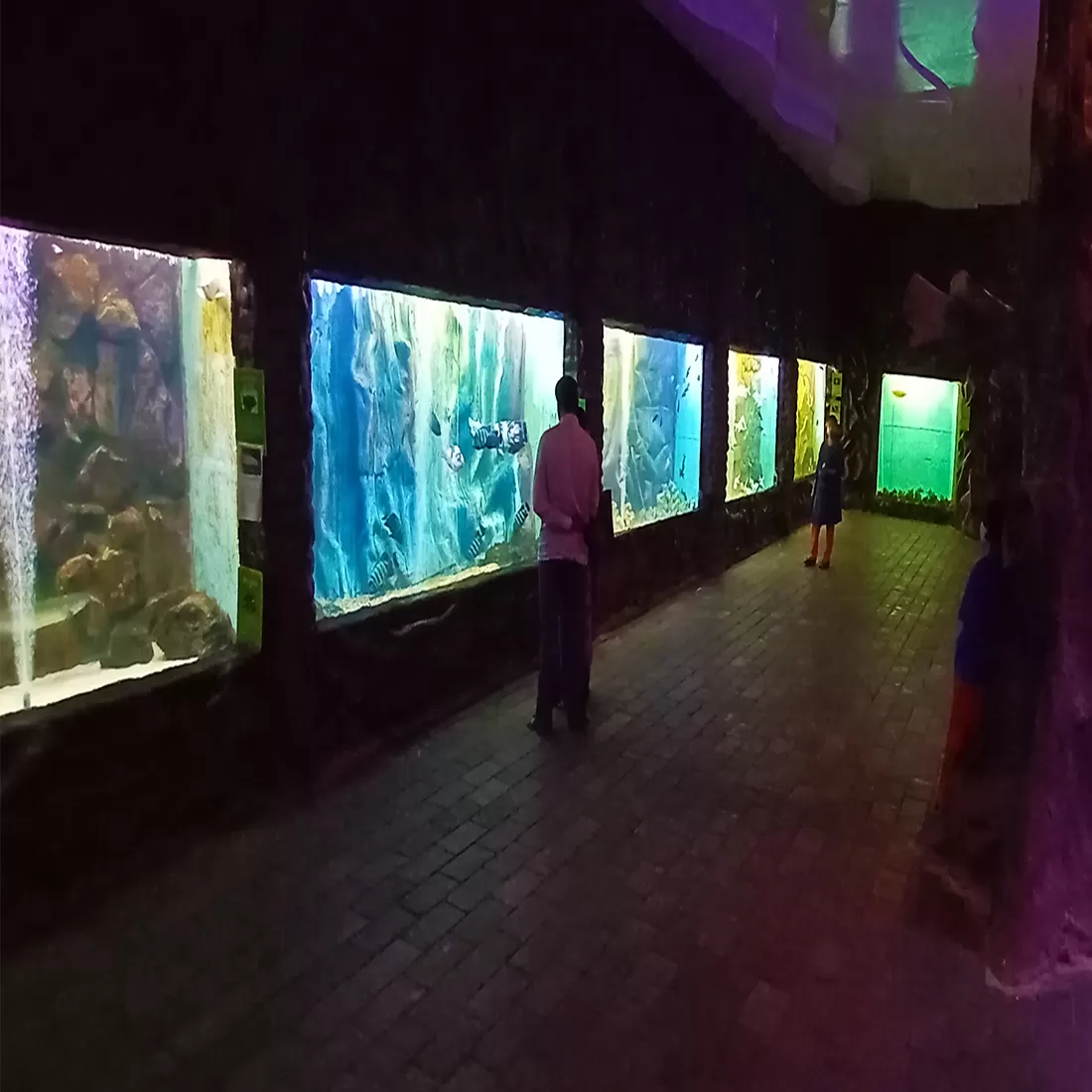 Photo of Lokaranjan Aqua World Underwater Zone By Sandhyaa V.