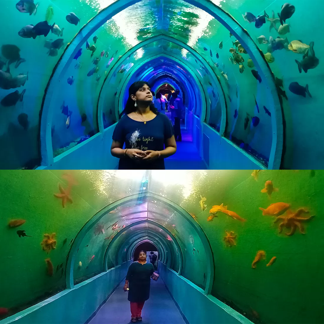 Photo of Lokaranjan Aqua World Underwater Zone By Sandhyaa V.