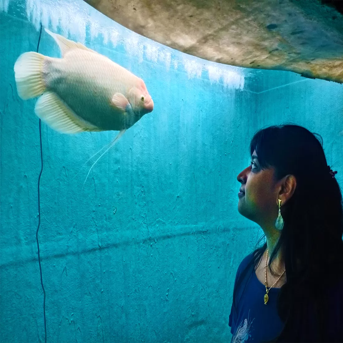 Photo of Lokaranjan Aqua World Underwater Zone By Sandhyaa V.