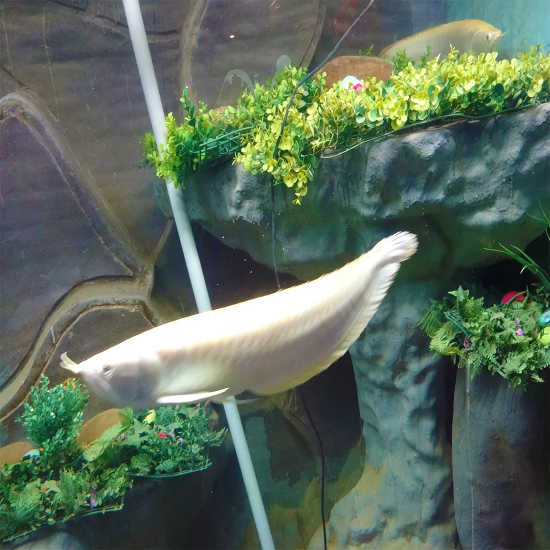 Photo of Lokaranjan Aqua World Underwater Zone By Sandhyaa V.
