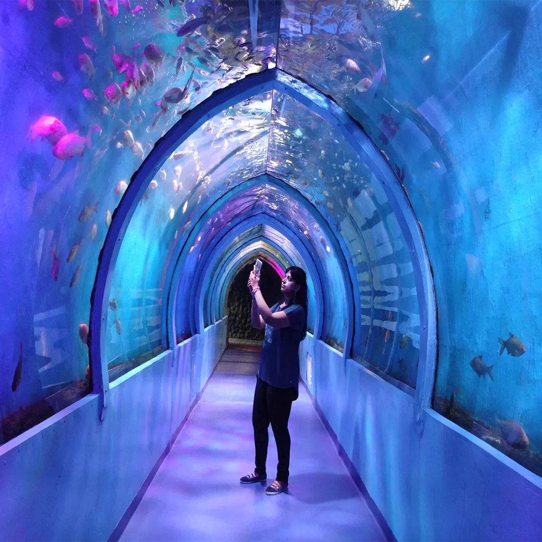 Photo of Lokaranjan Aqua World Underwater Zone By Sandhyaa V.
