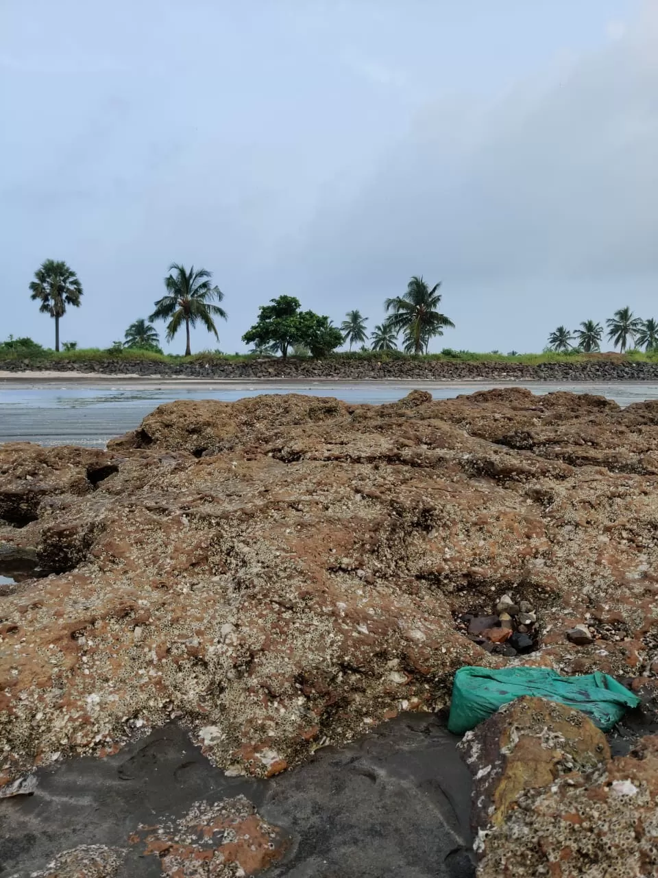 Photo of Bhuigaon Beach By Swetha Ravindran