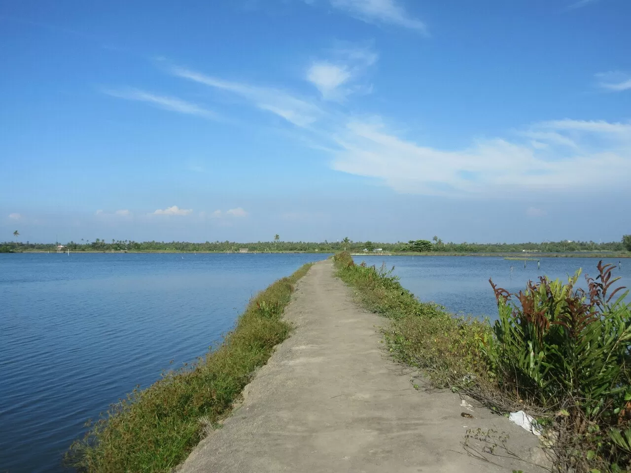 Photo of Kadamakkudy By Appu