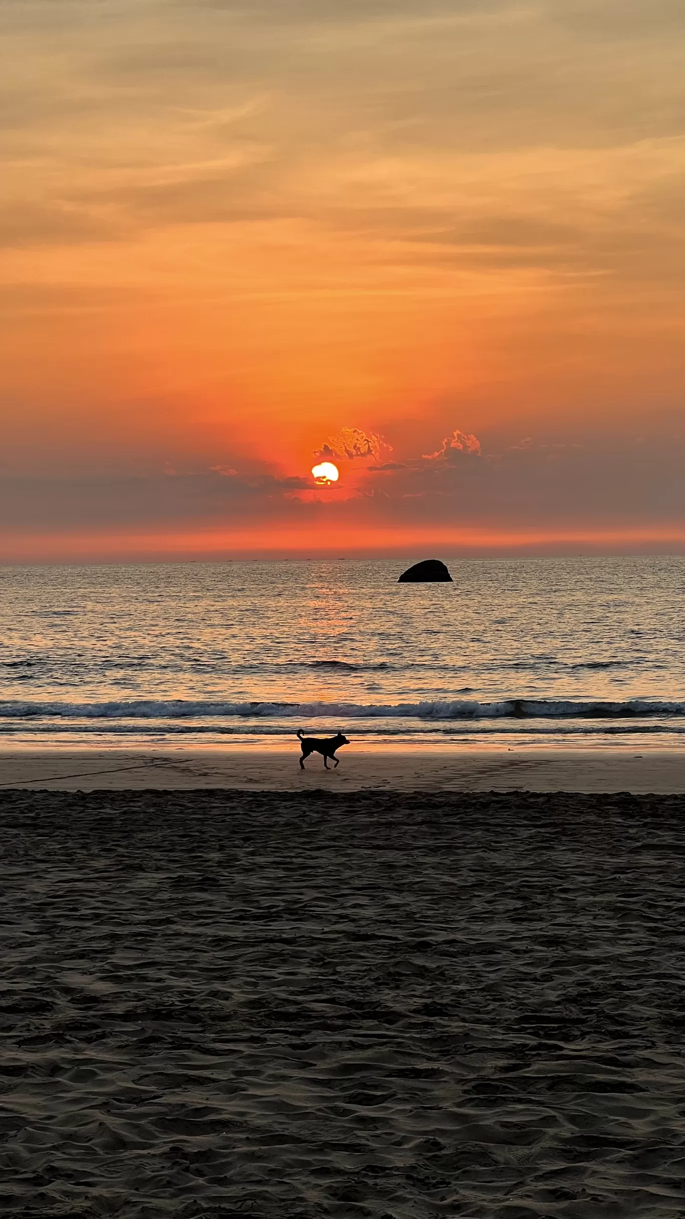 Photo of Goa By Iona & Conroy
