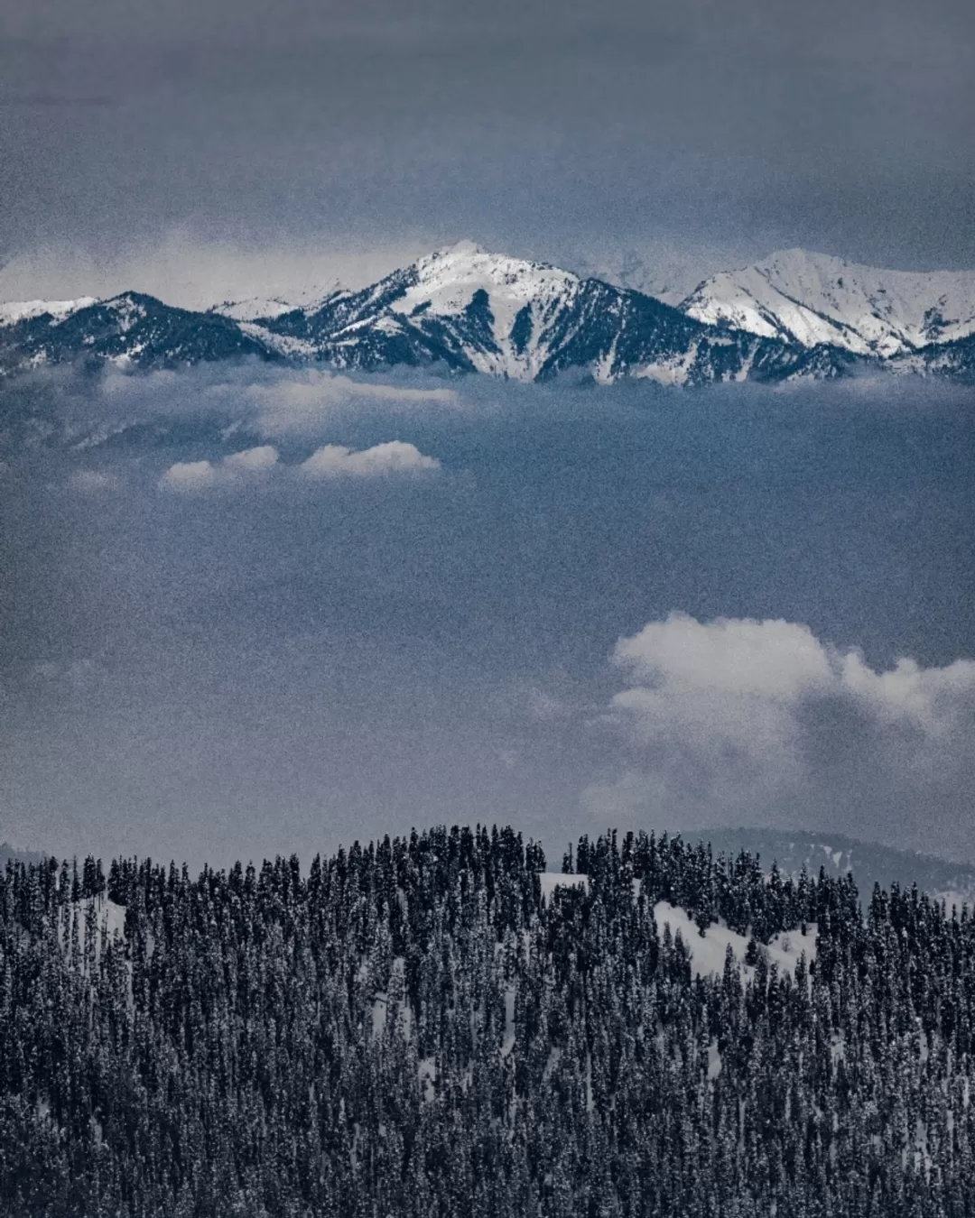 Photo of Gulmarg By Satyam Saboo