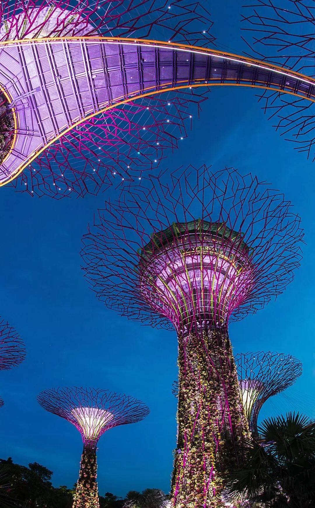 Photo of Singapore By Adheena Printo C