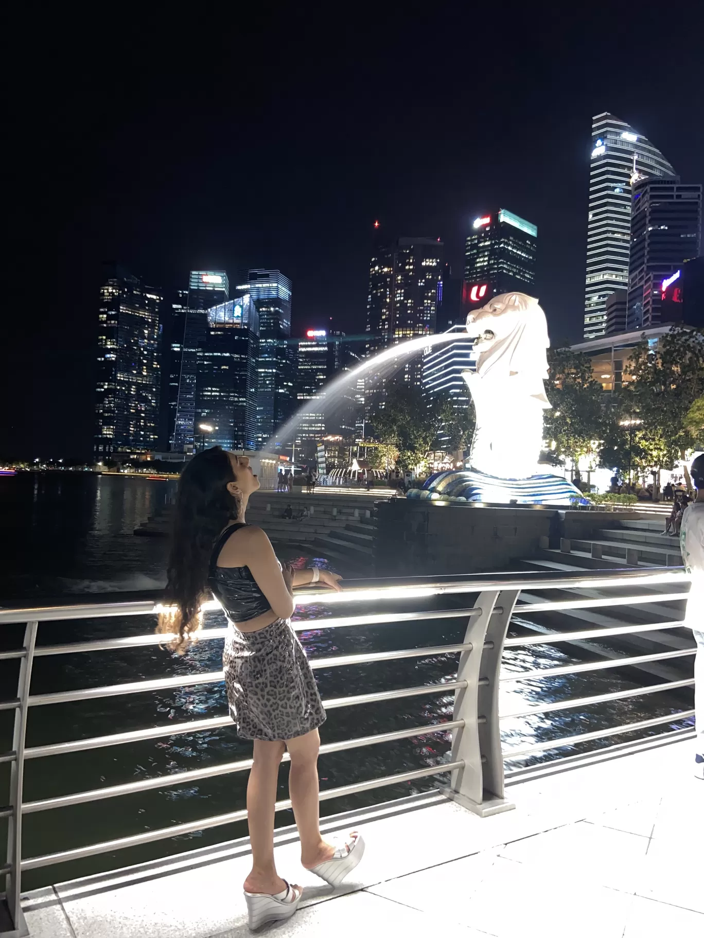 Photo of Singapore By Neha Anand