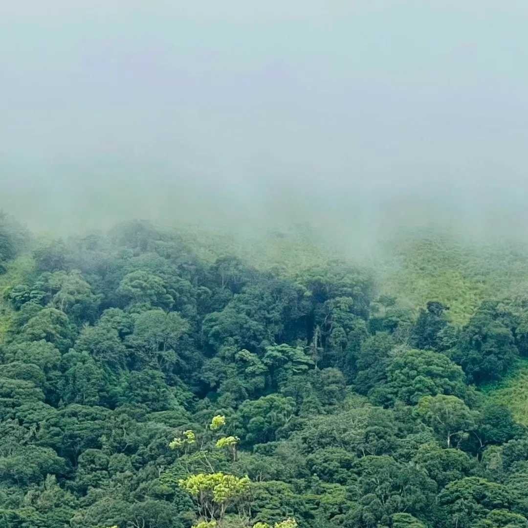 Photo of Thekkady By Leninkumar