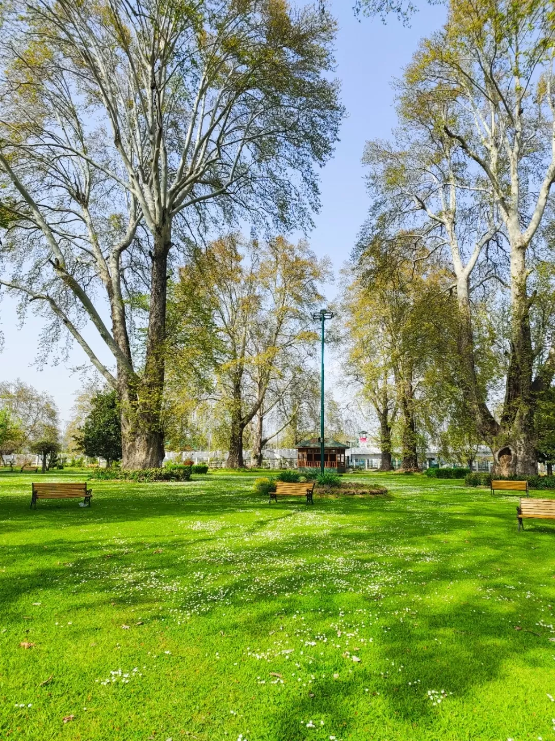 Photo of Srinagar By Nargis Farheena 