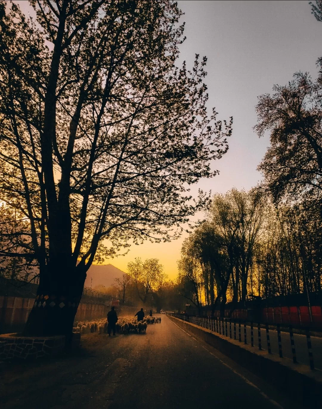 Photo of Srinagar By Nargis Farheena 