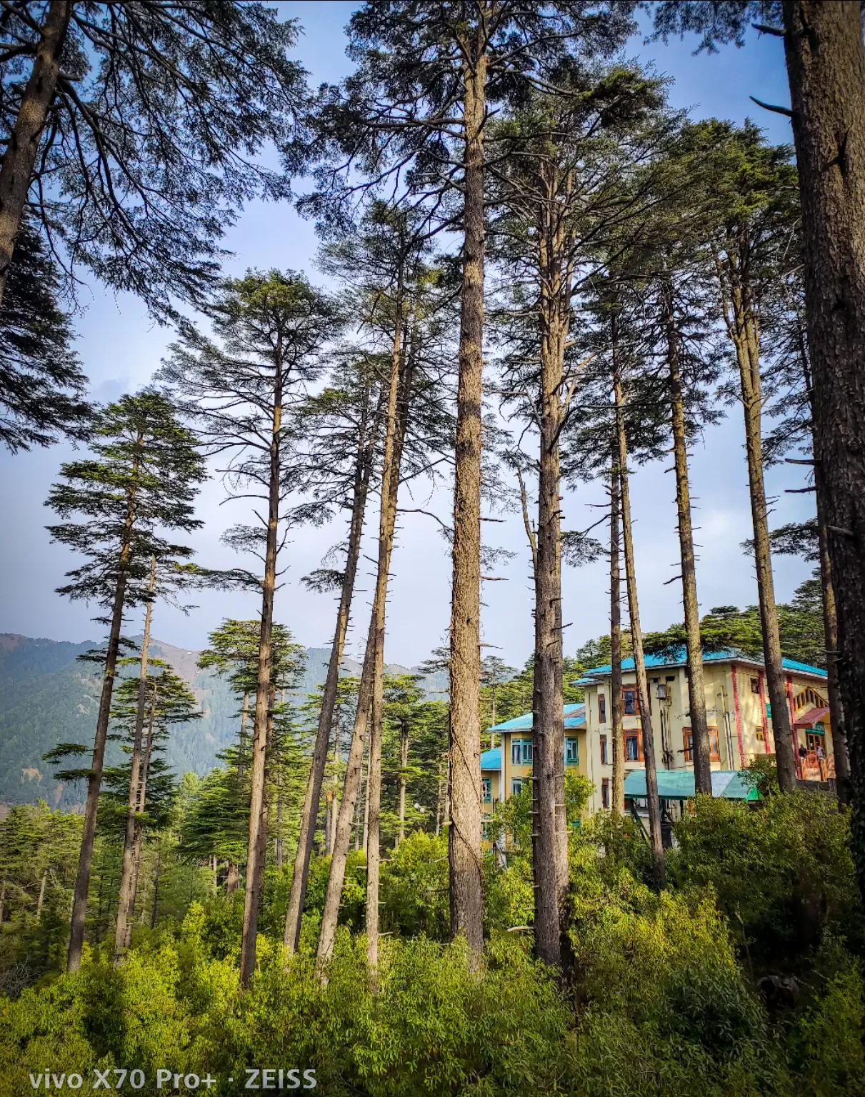 Photo of Patnitop By Nargis Farheena 