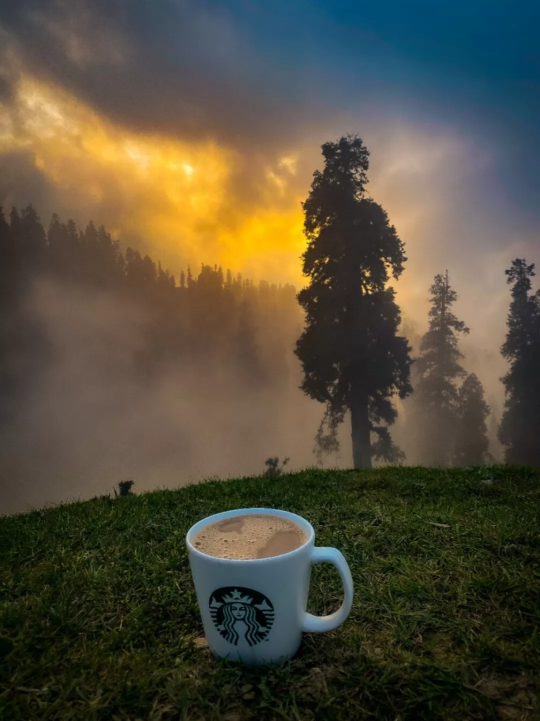 Photo of Jammu and Kashmir By Nargis Farheena 