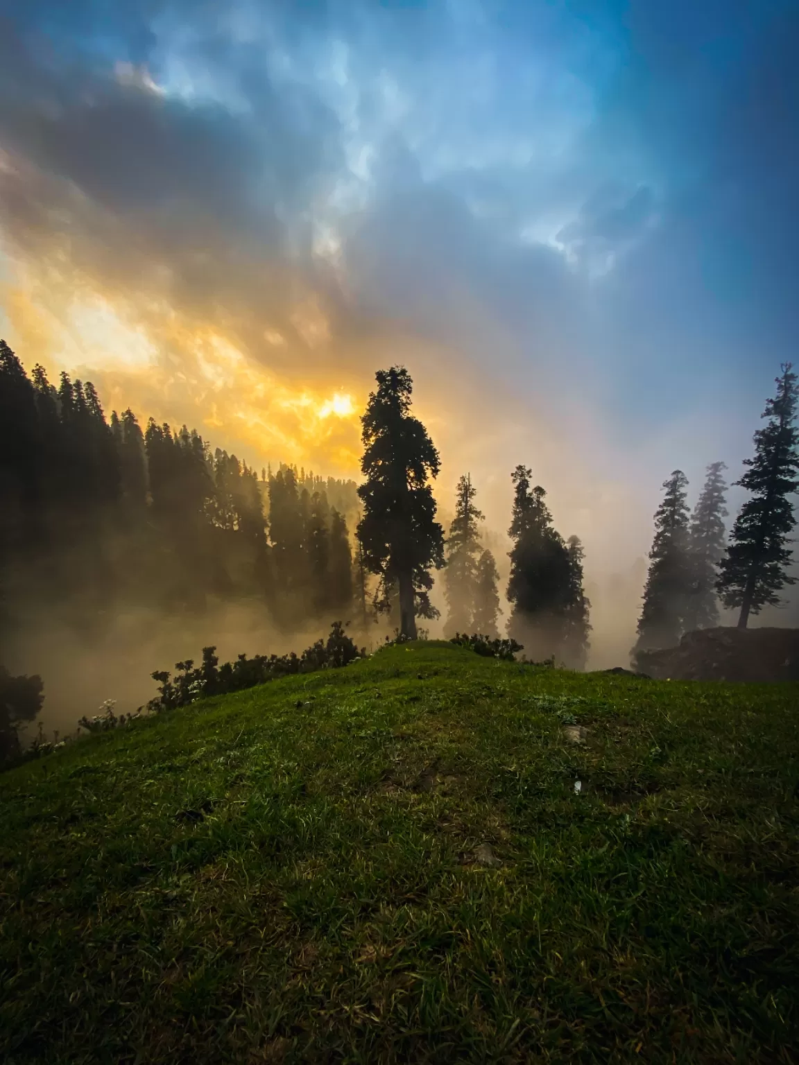 Photo of Jammu and Kashmir By Nargis Farheena 