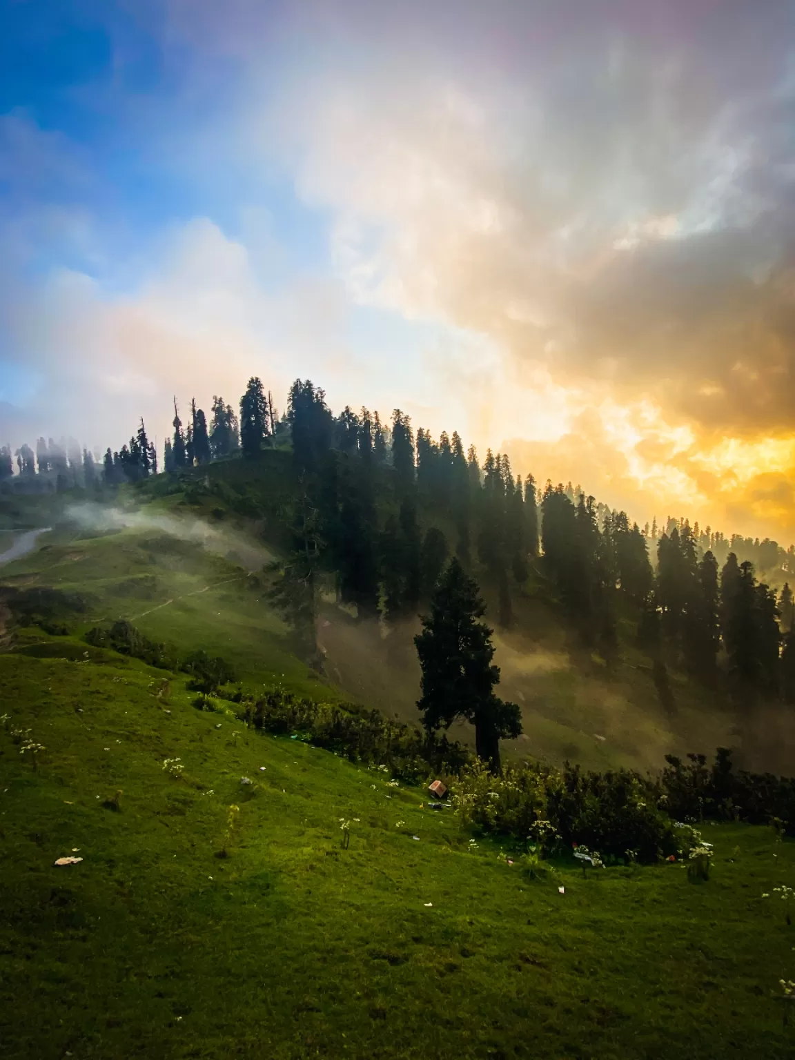 Photo of Jammu and Kashmir By Nargis Farheena 