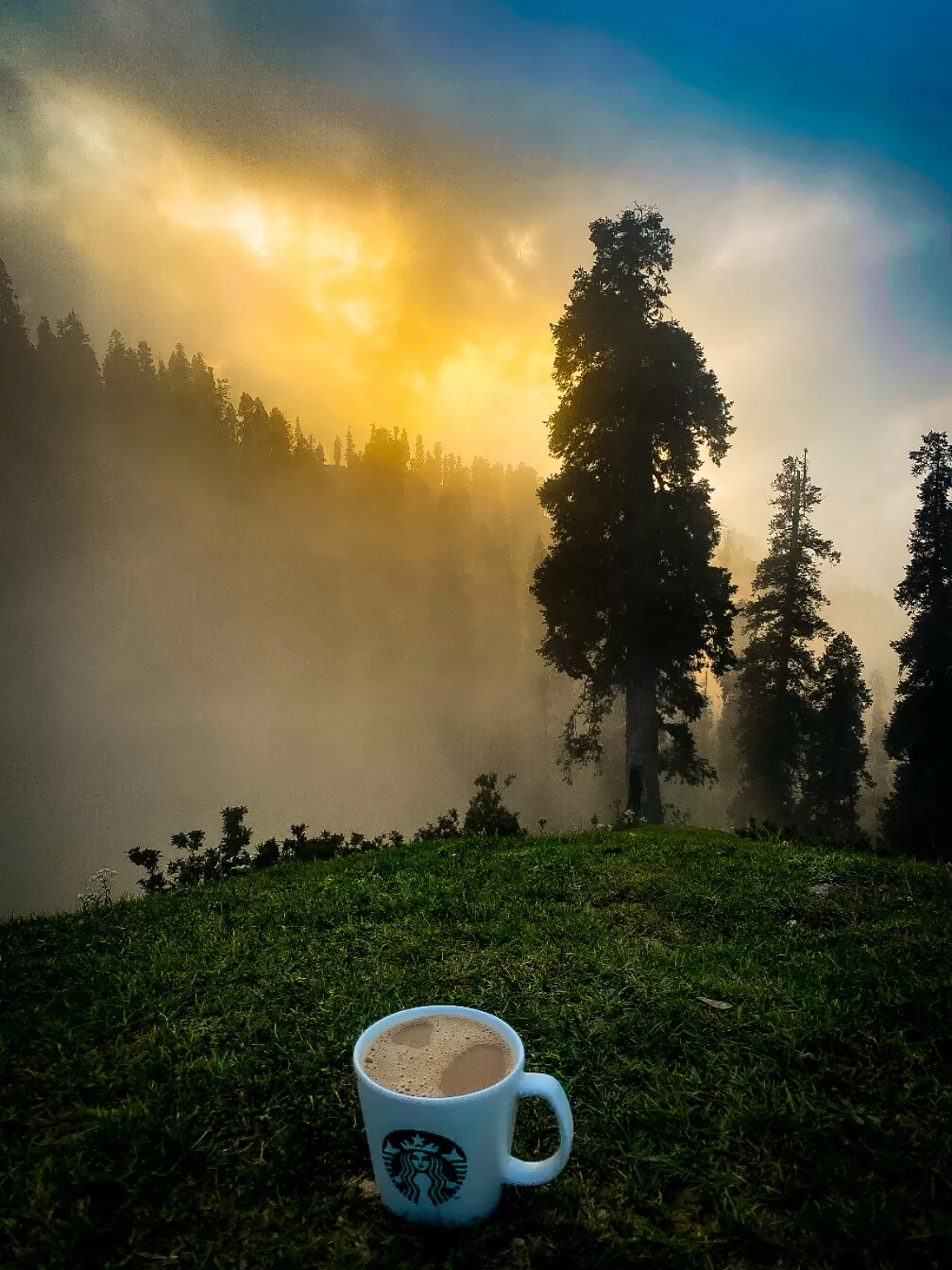 Photo of Jammu and Kashmir By Nargis Farheena 