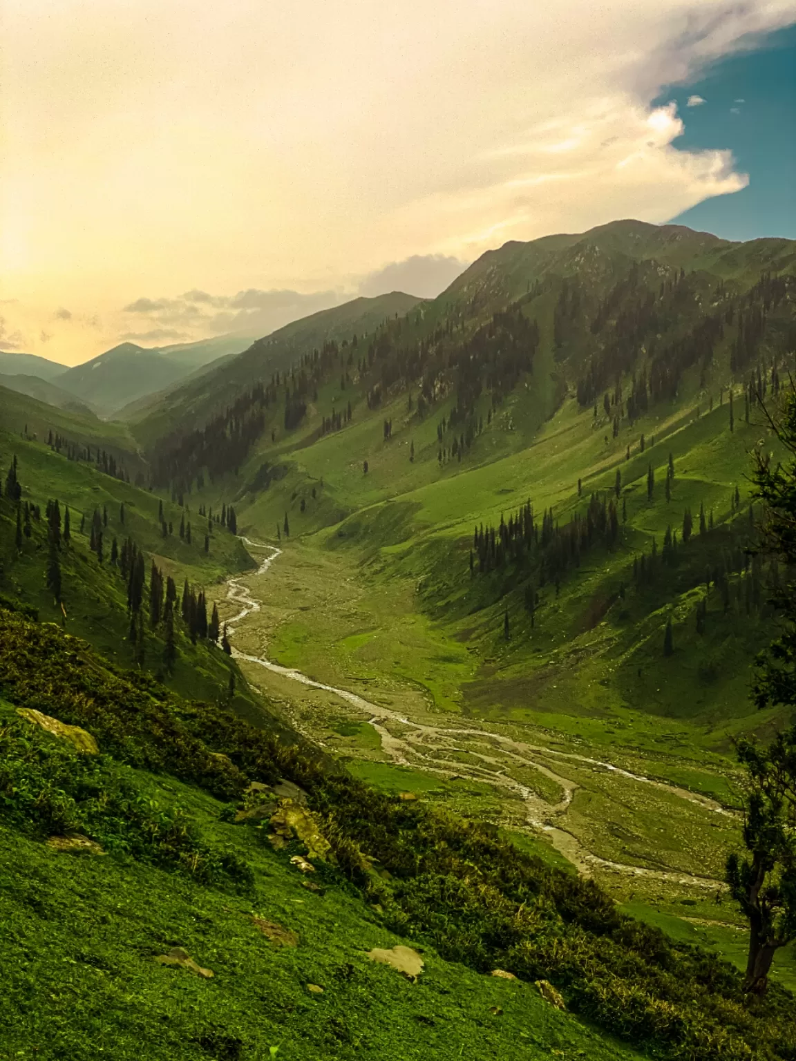 Photo of Jammu and Kashmir By Nargis Farheena 