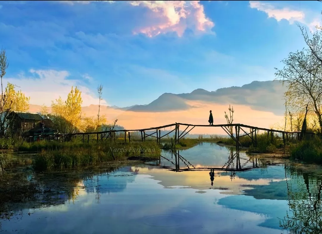 Photo of Dal Lake By Nargis Farheena 