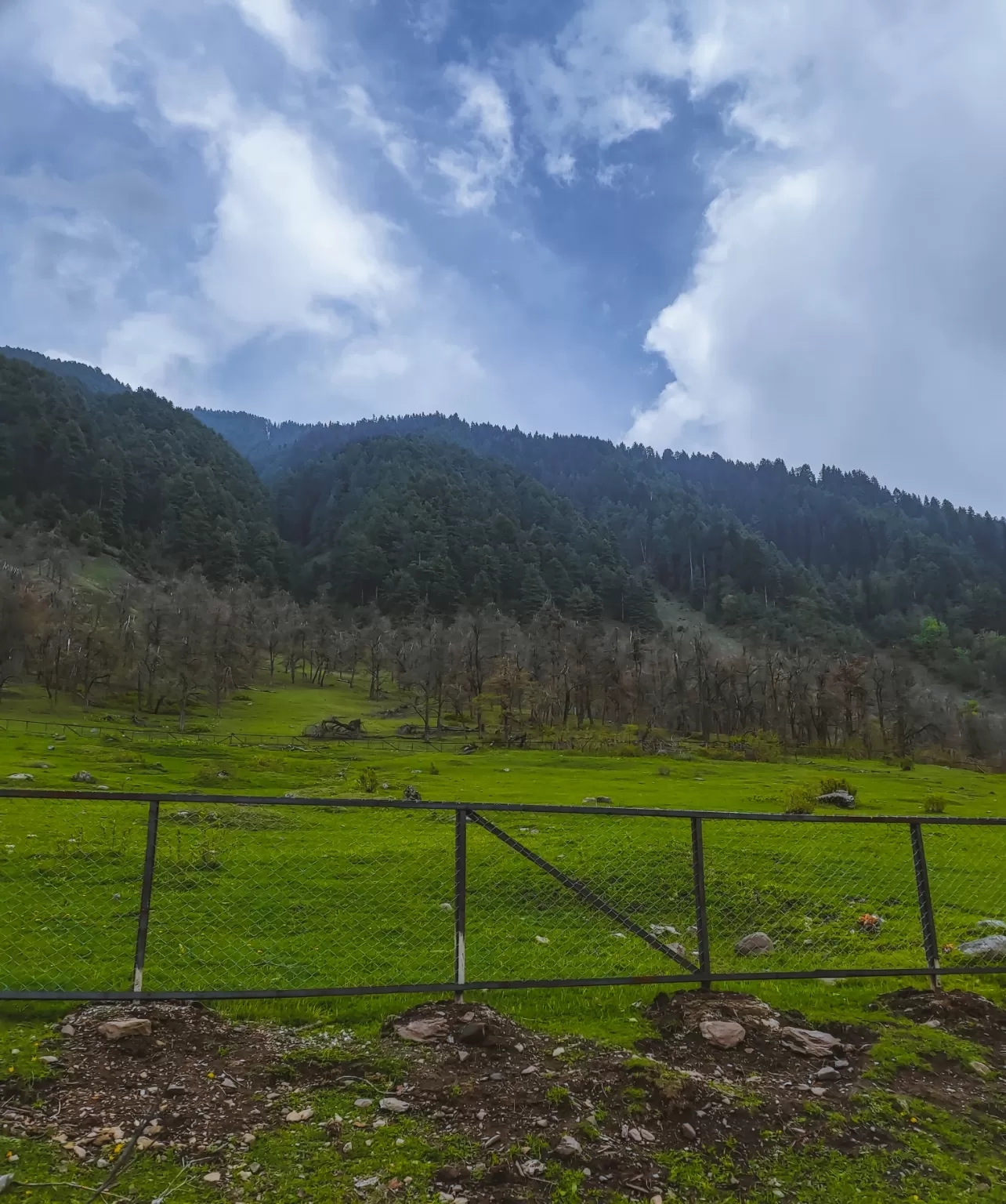 Photo of Aru Valley By Nargis Farheena 