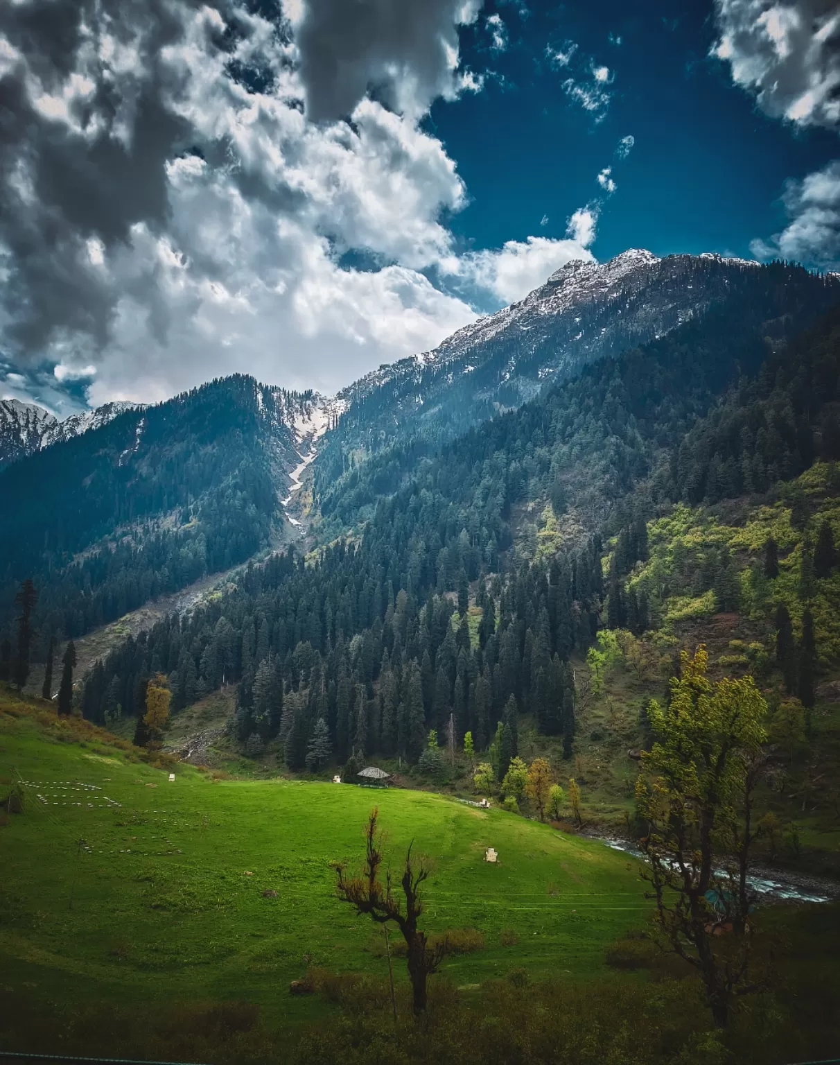 Photo of Aru Valley By Nargis Farheena 