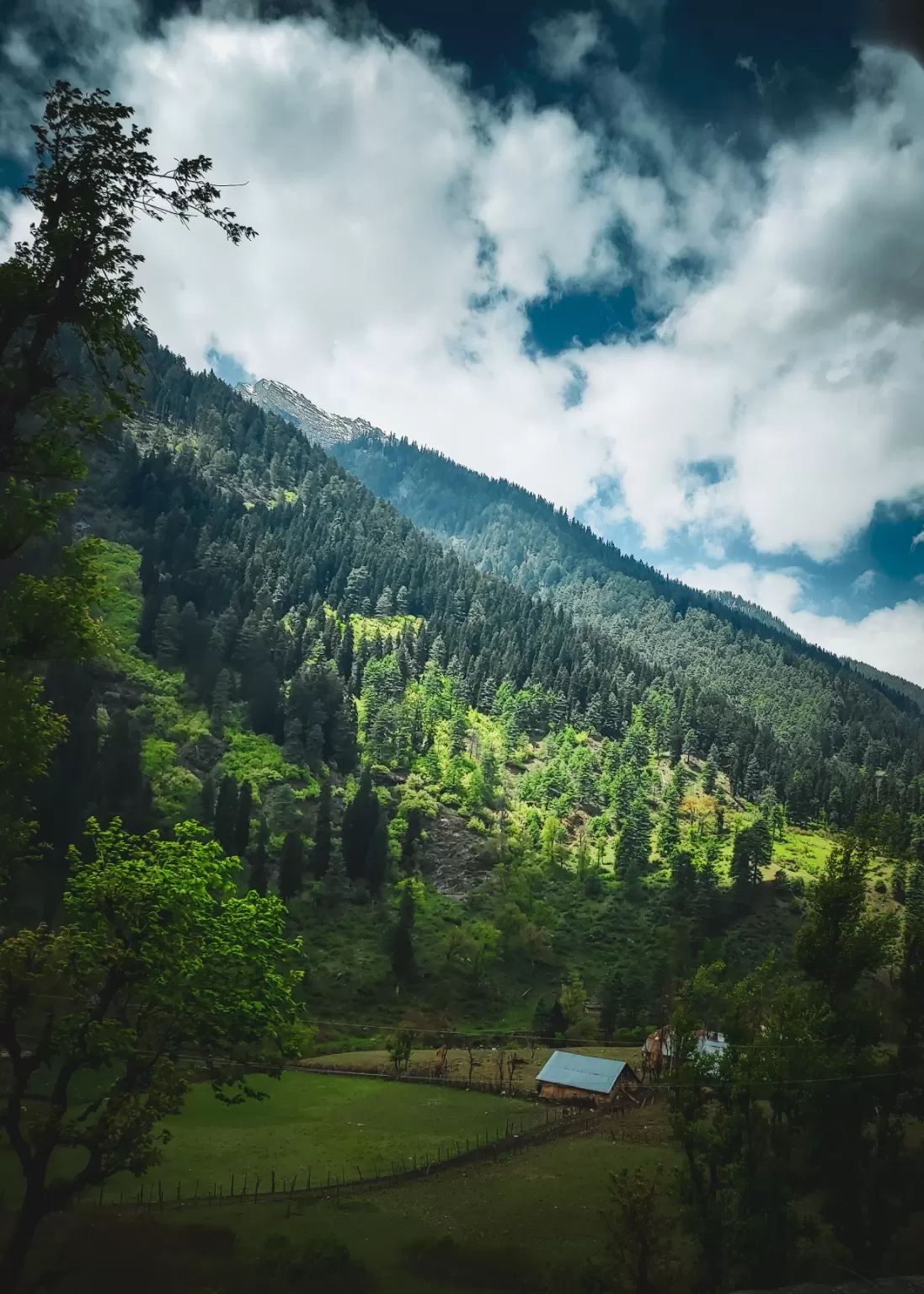 Photo of Aru Valley By Nargis Farheena 