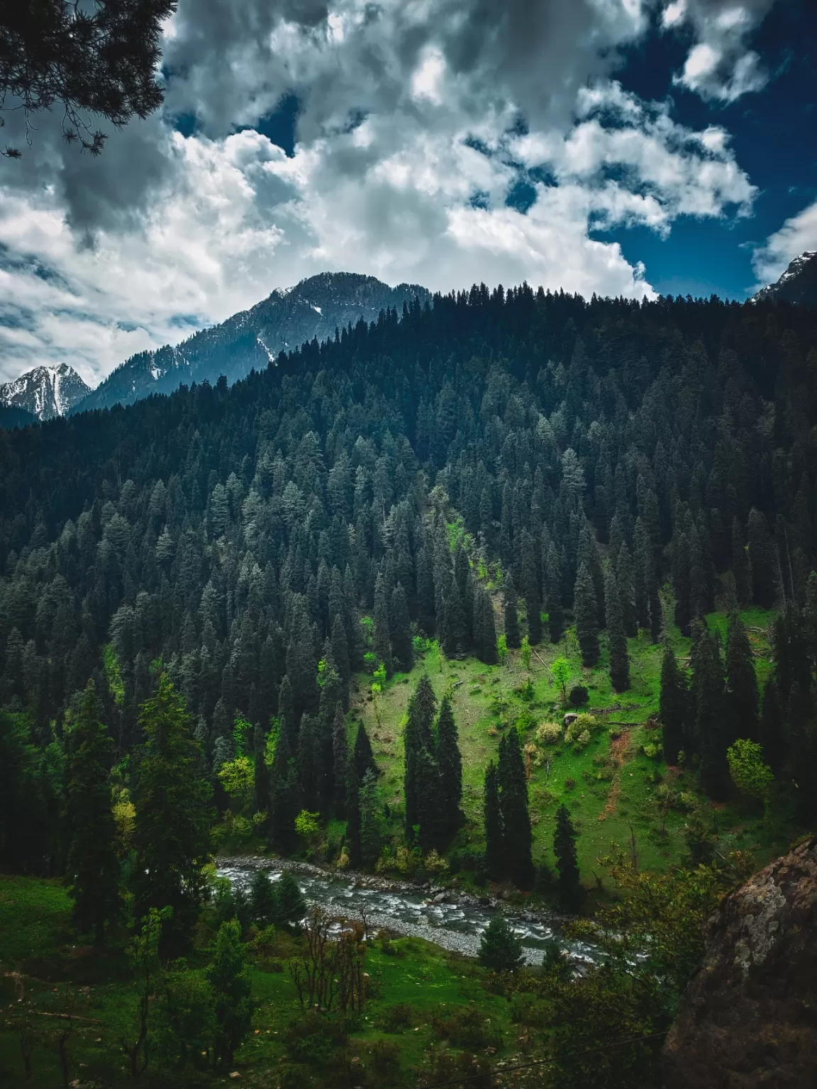 Photo of Aru Valley By Nargis Farheena 