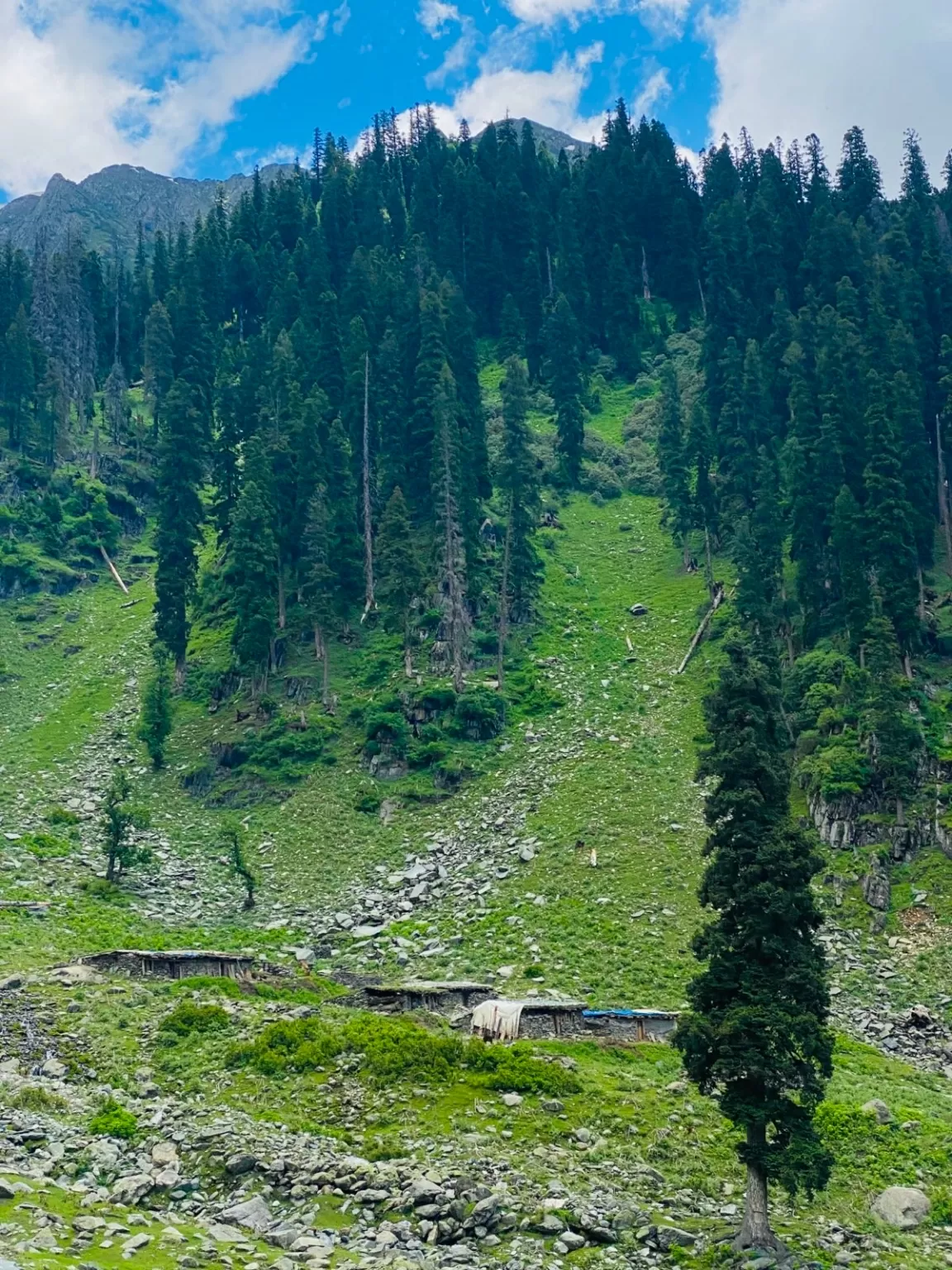 Photo of Anantnag By Nargis Farheena 