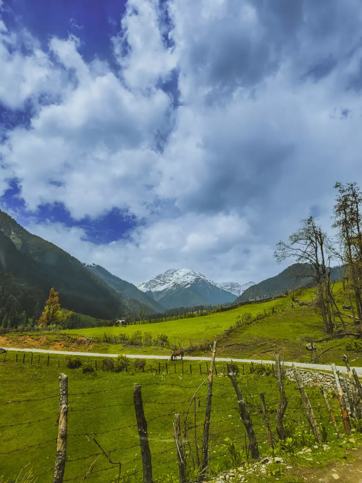 Photo of Aru Valley By Nargis Farheena 