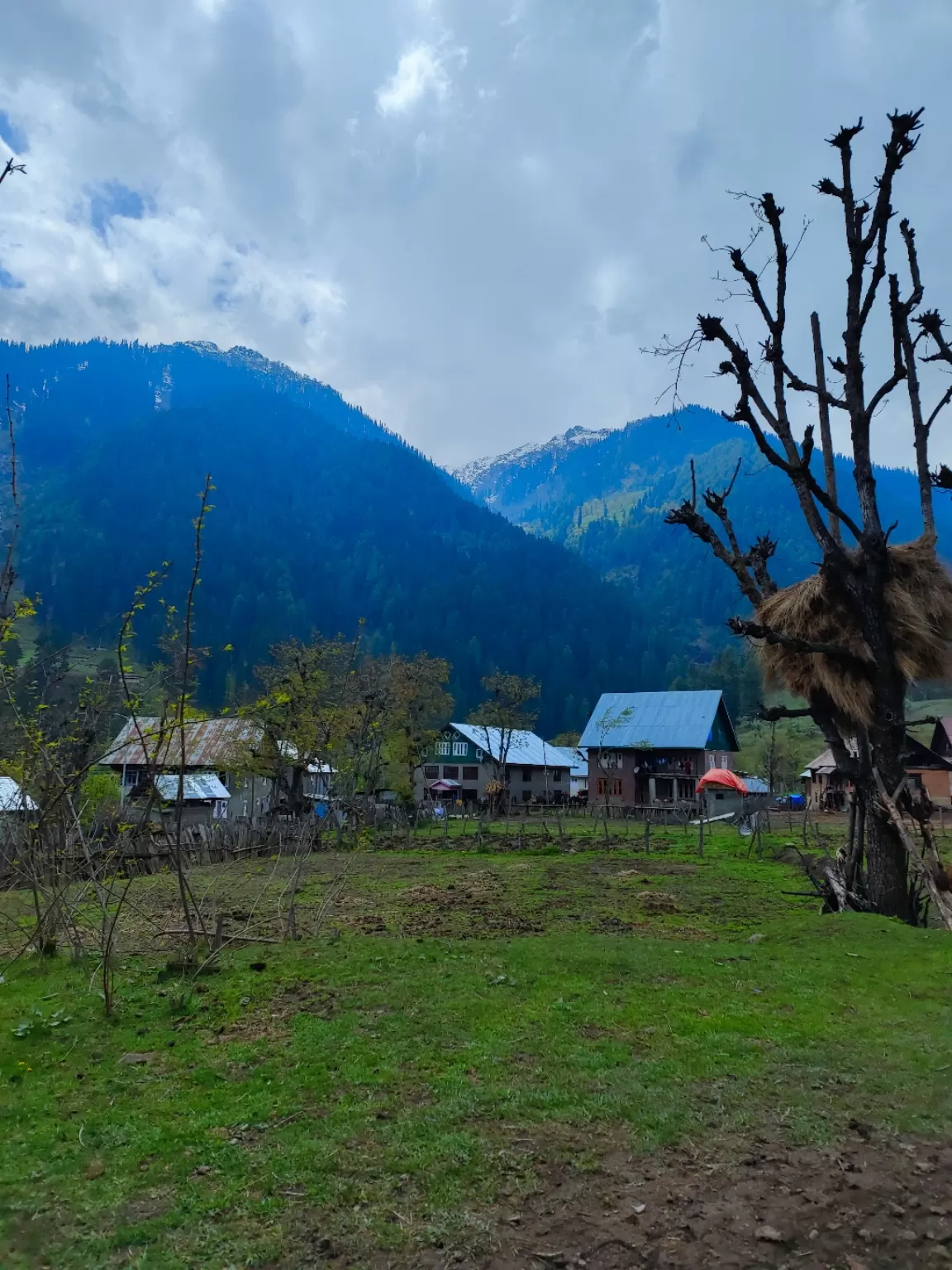 Photo of Aru Valley By Nargis Farheena 