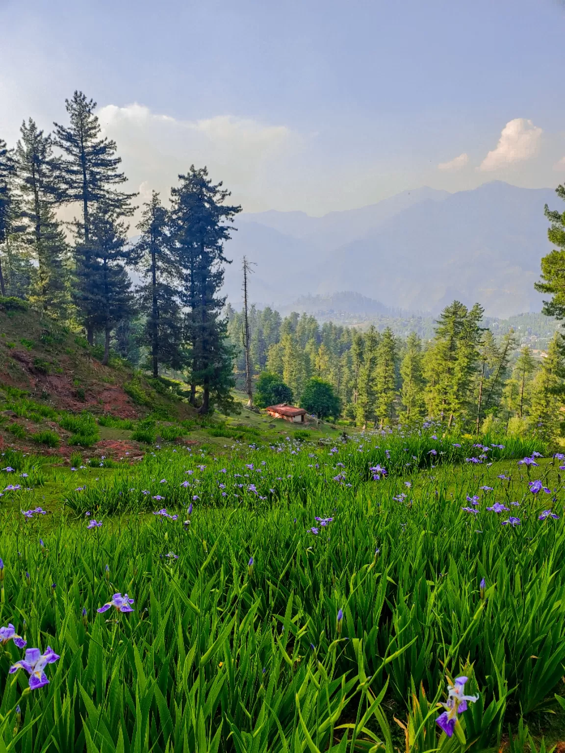 Photo of Jammu and Kashmir By Nargis Farheena 